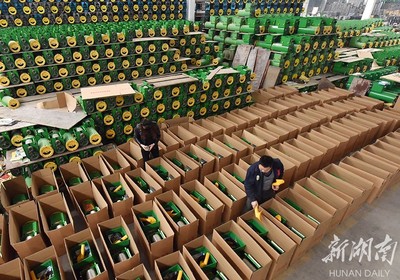 備戰雙十一，薯類產品銷售攻略