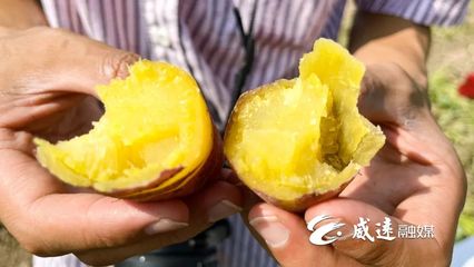 1元1斤！線上線下銷售火！威遠秋季美味火爆上市！